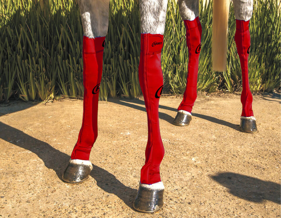 EQUINE COMPRESSION SOCK RED