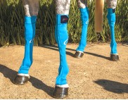 EQUINE COMPRESSION SOCK TURQUOISE