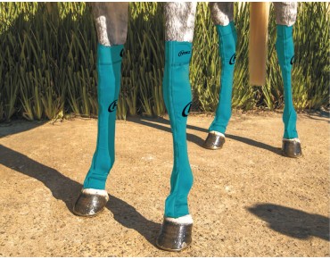 TURQUOISE TURQUOISE