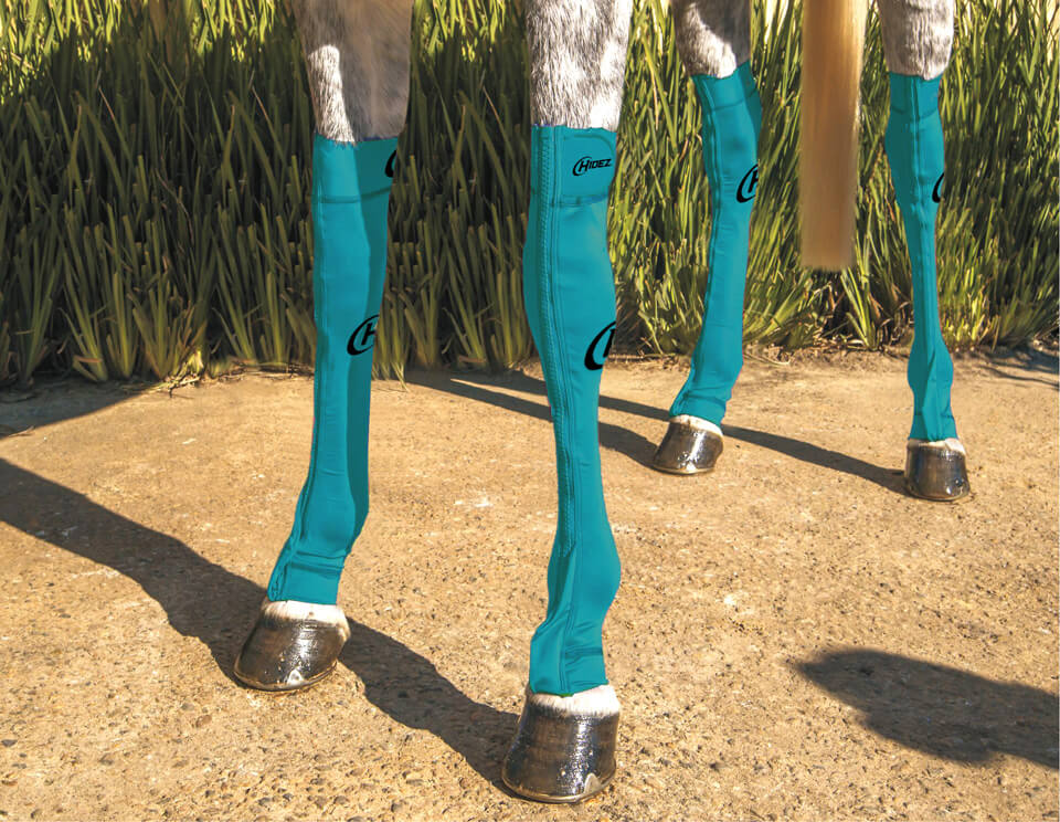 EQUINE COMPRESSION SOCK TURQUOISE