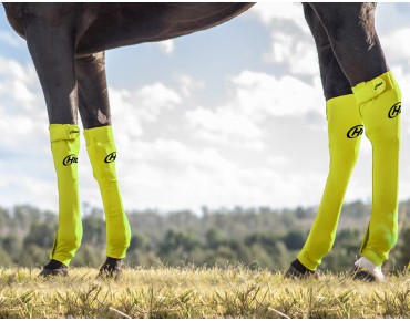 FLURO YELLOW FLURO YELLOW