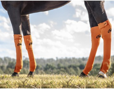 ORANGE ORANGE