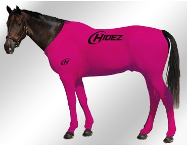 FUCHSIA FUCHSIA