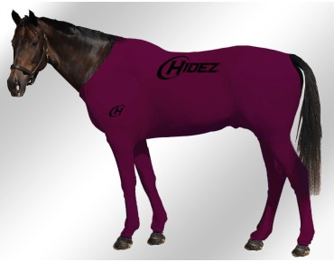 MAROON MAROON