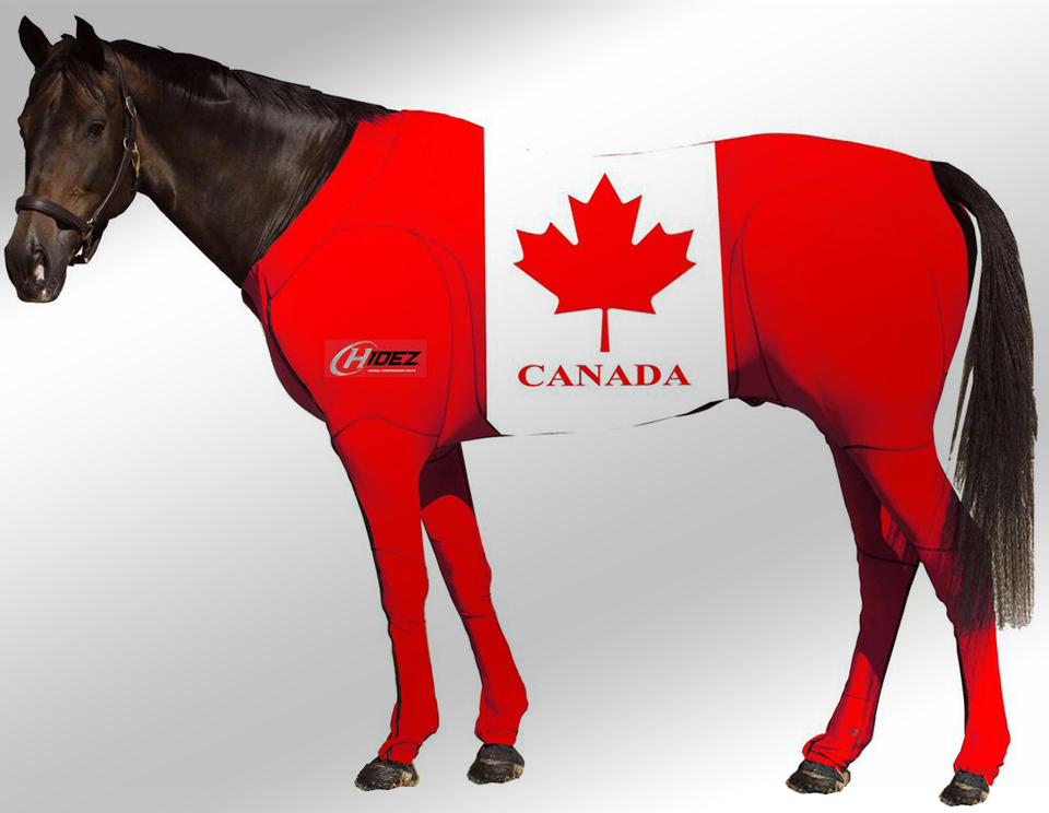 EQUINE SUIT PRINTED CANADA