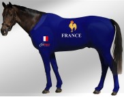 EQUINE SUIT PRINTED FRANCE