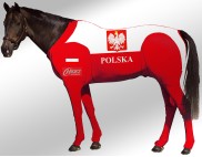 EQUINE SUIT PRINTED POLAND