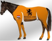 EQUINE SUIT PRINTED NETHERLANDS-SUIT