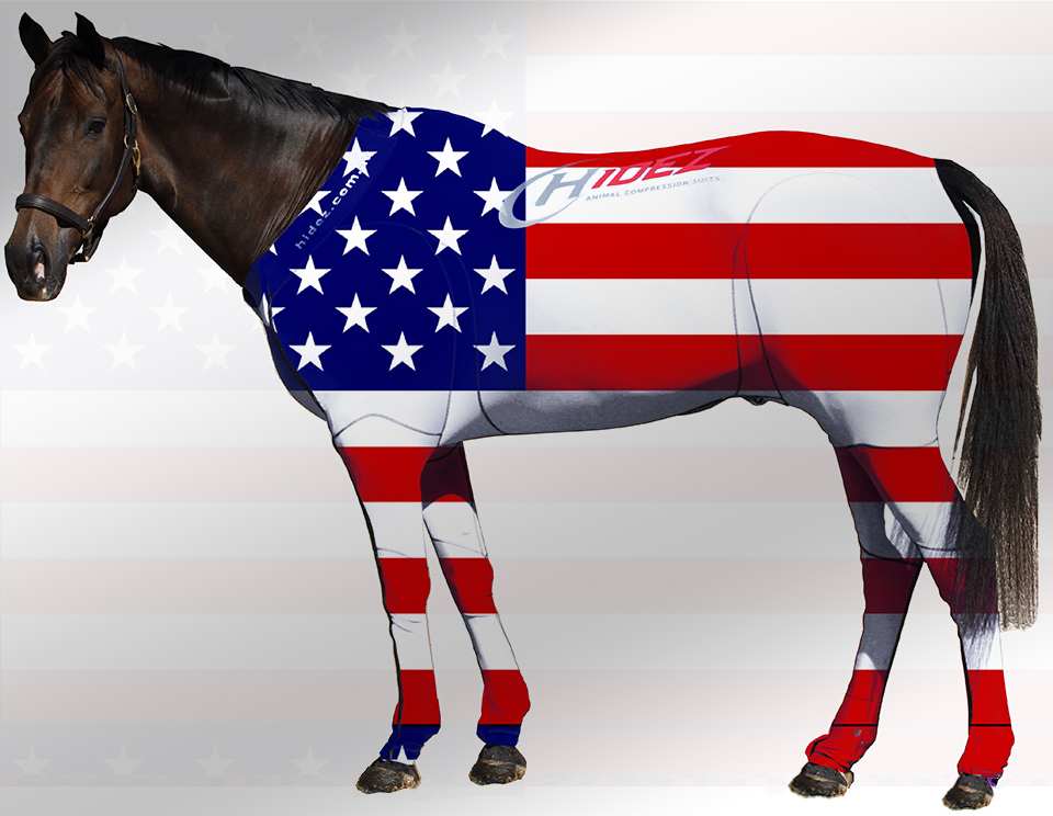 EQUINE SUIT PRINTED USA STARS & STRIPES