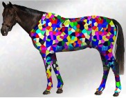 EQUINE SUIT PRINTED KALEIDOSCOPE