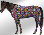 EQUINE SUIT PRINTED SEAMLESS
