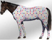 EQUINE SUIT PRINTED MULTI CHECK