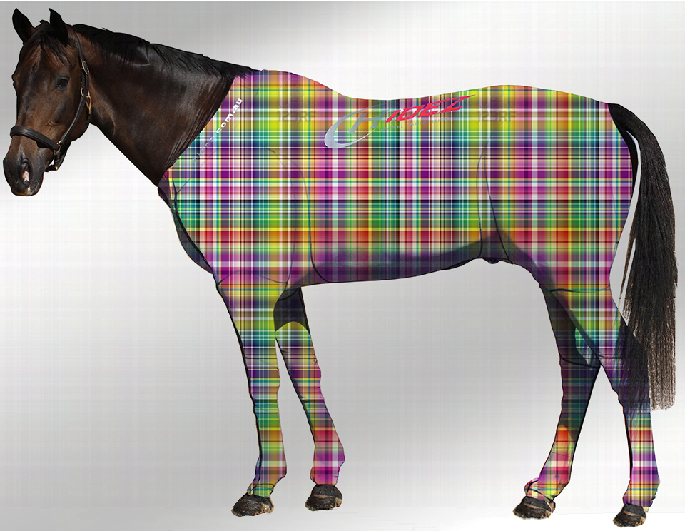 EQUINE SUIT PRINTED RAINBOW