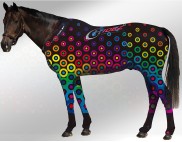 EQUINE SUIT PRINTED BULLSEYE