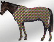 EQUINE SUIT PRINTED FLORA 