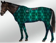 EQUINE SUIT PRINTED NEON SQUARES