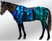 EQUINE SUIT PRINTED NIGHT ROCKS