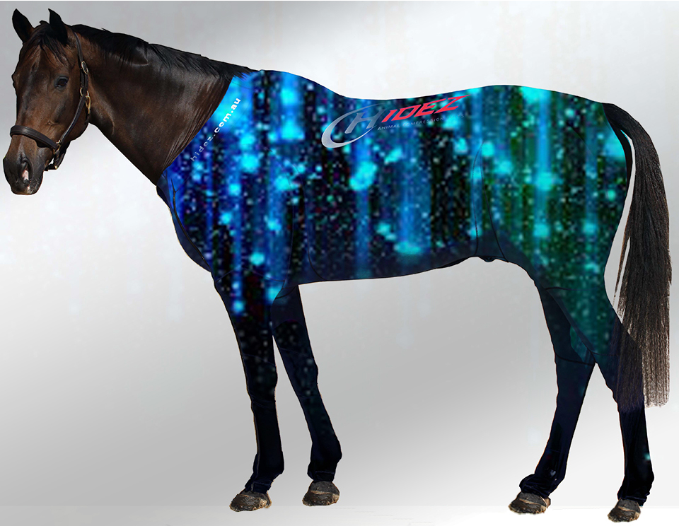 EQUINE SUIT PRINTED NIGHT ROCKS