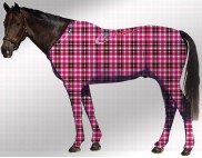 EQUINE SUIT PRINTED TARTAN PINK