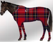 EQUINE SUIT PRINTED TARTAN RED