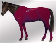 EQUINE SUIT PRINTED MAROON