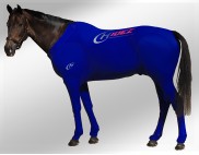 EQUINE SUIT PRINTED NAVY