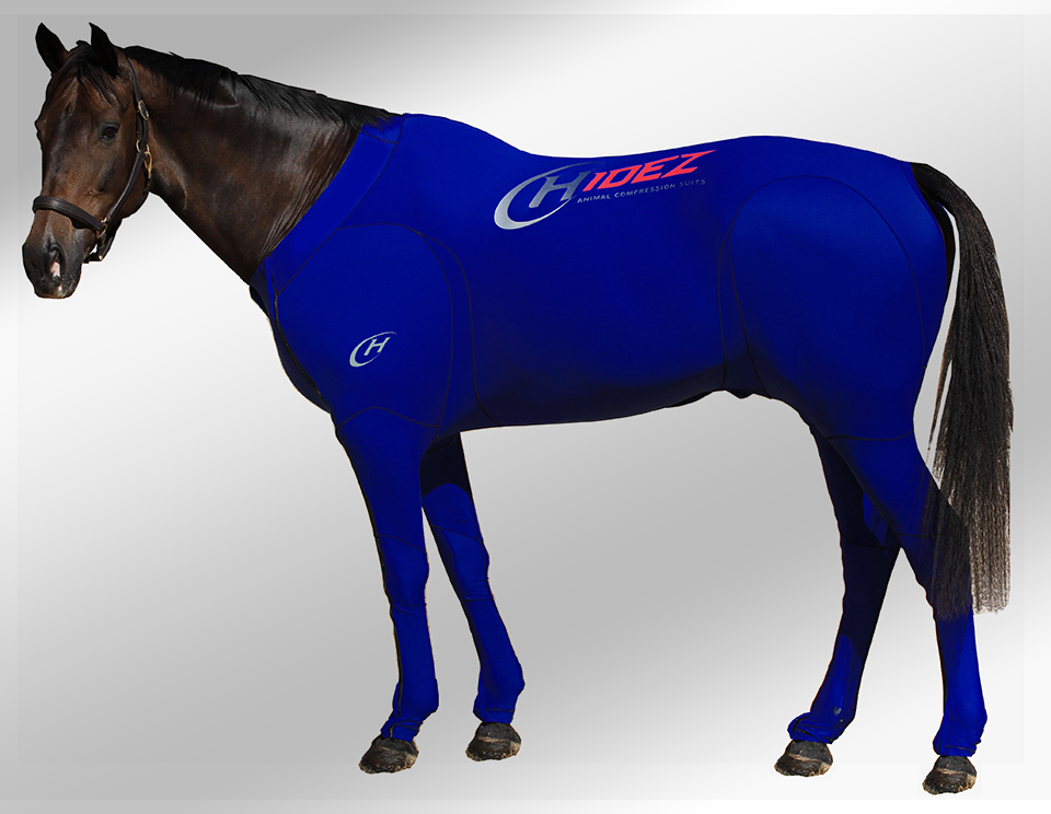 EQUINE SUIT PRINTED NAVY