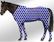 EQUINE SUIT PRINTED STARS WHITE-BLUE-NAVY