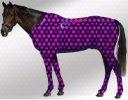 EQUINE SUIT PRINTED STARS BLACK-PURPLE-PINK