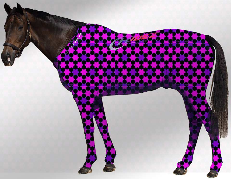 EQUINE SUIT PRINTED STARS BLACK-PURPLE-PINK