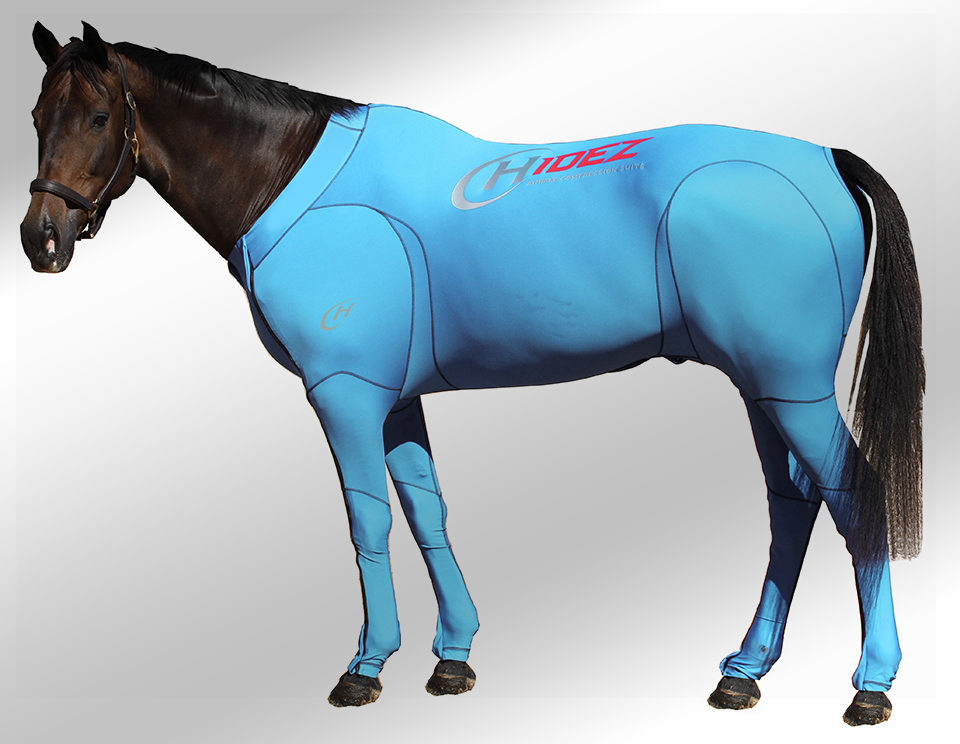 EQUINE SUIT PRINTED TURQUOISE