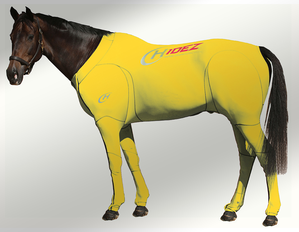 EQUINE SUIT PRINTED YELLOW 