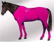 EQUINE SUIT PRINTED PINK