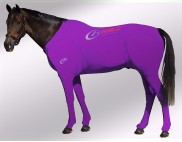 EQUINE SUIT PRINTED PURPLE