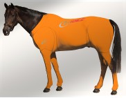 EQUINE SUIT PRINTED ORANGE 