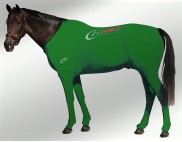 EQUINE SUIT PRINTED GREEN 