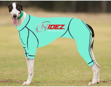 RACING-SUIT-PRINTED-AQUAMARINE