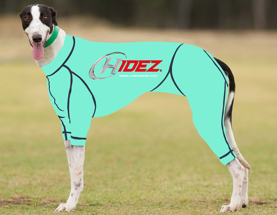 RACING-SUIT-PRINTED-AQUAMARINE