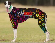 RACING-SUIT-PRINTED-BULLSEYE