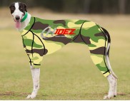 RACING-SUIT-PRINTED-CAMO-ARMY
