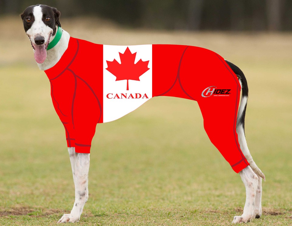 RACING-SUIT-PRINTED-CANADA