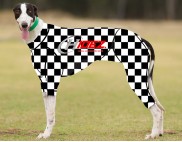 RACING-SUIT-PRINTED-CHECKERED