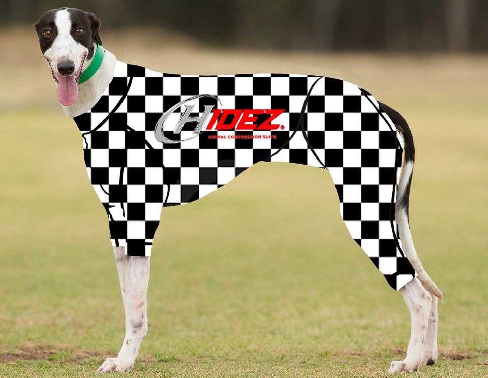 RACING-SUIT-PRINTED-CHECKERED