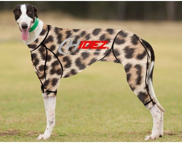 RACING-SUIT-PRINTED-CHEETAH