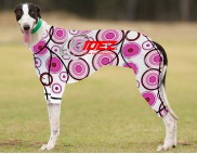 RACING-SUIT-PRINTED-CIRCLES-WHITE--PINK