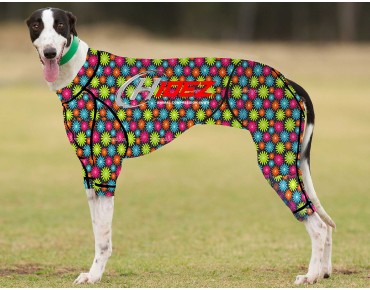 RACING-SUIT-PRINTED-FLORA