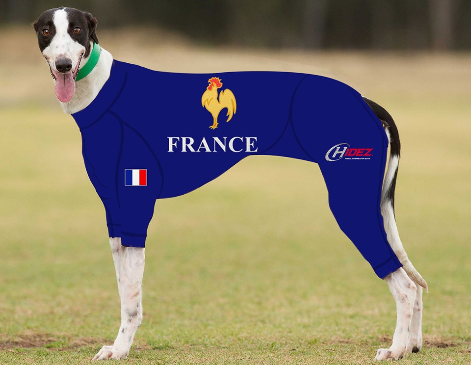 RACING-SUIT-PRINTED-FRANCE