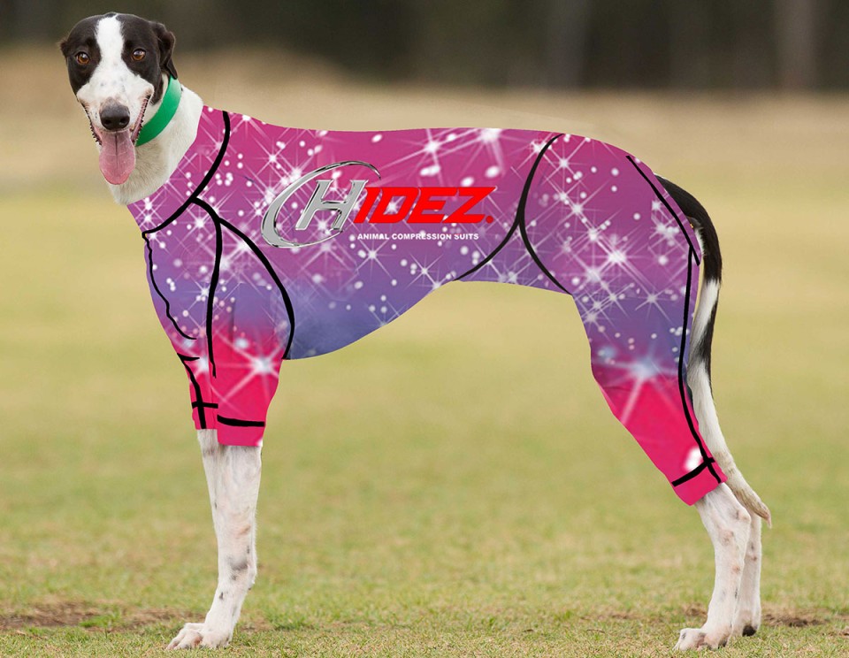 RACING-SUIT-PRINTED-GLITTER