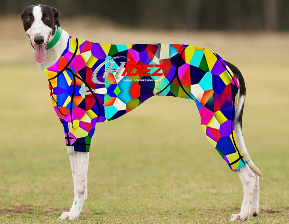 RACING-SUIT-PRINTED-KALEIDOSCOPE