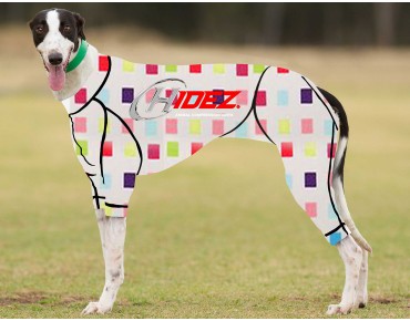 RACING-SUIT-PRINTED-MULTI-CHECK